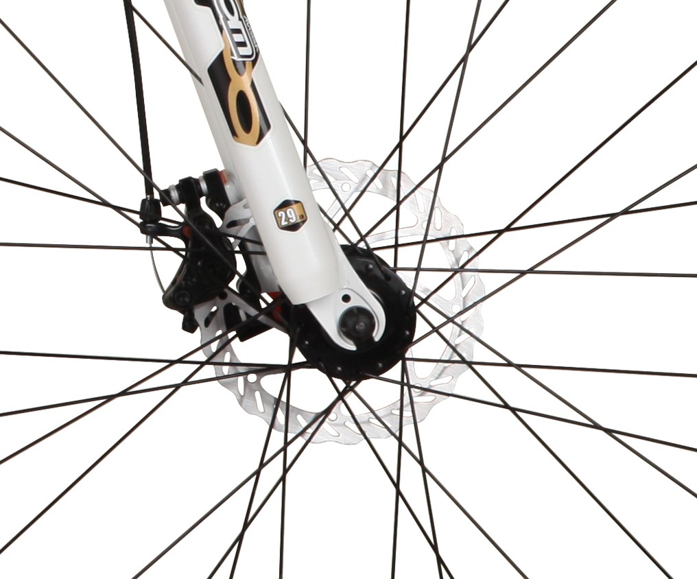 Mountainbike 29