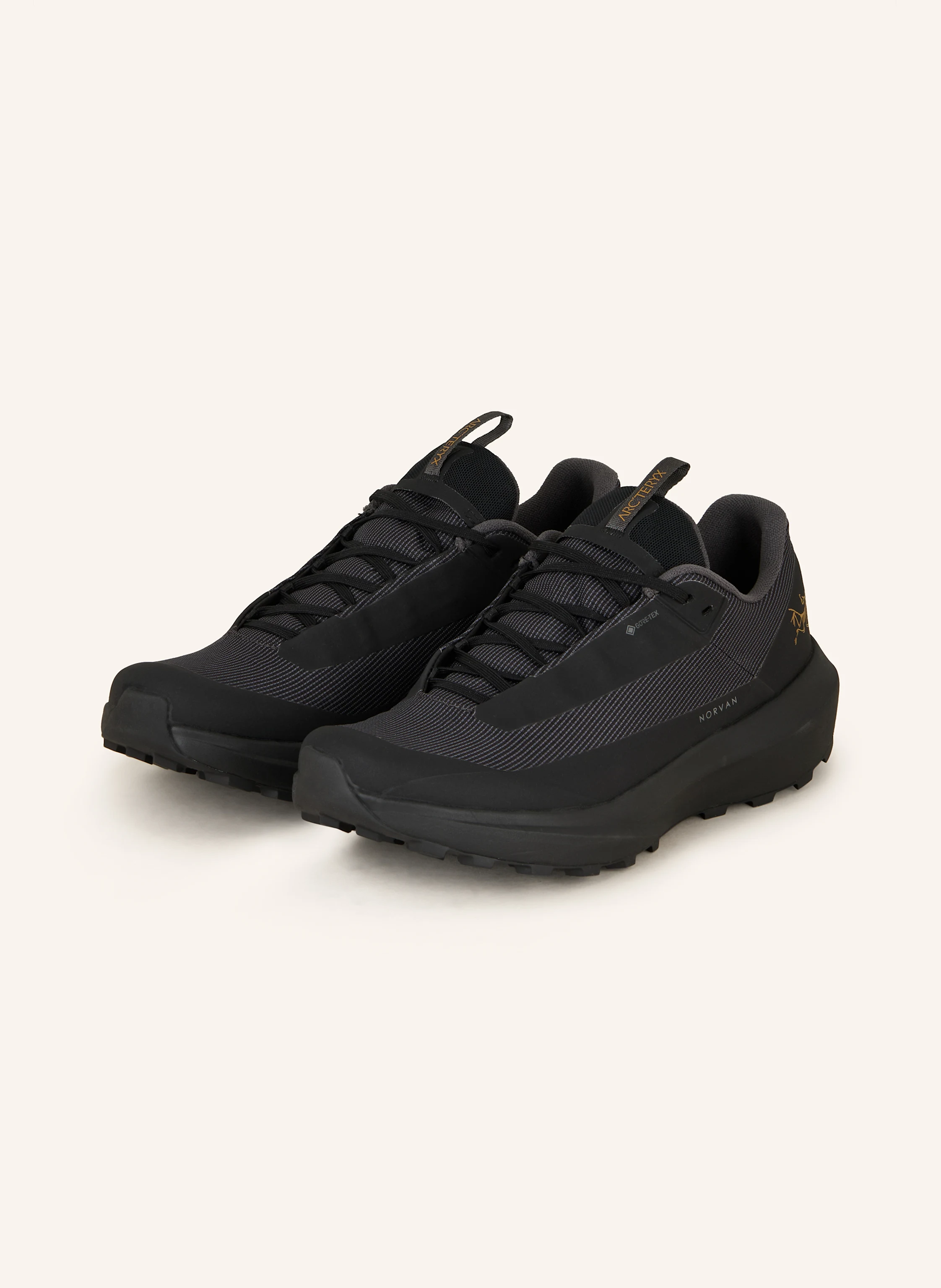 ARC'TERYX Trailrunning-Schuhe NORVAN LD 4 GTX
