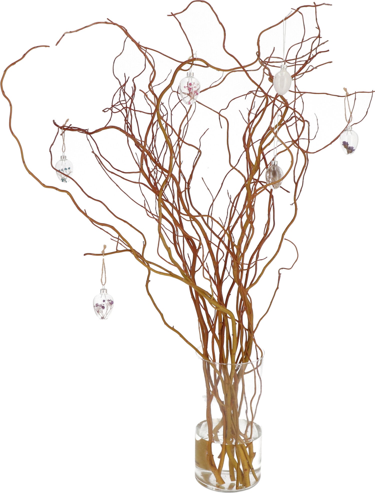 Paastak (Salix) H 90 cm