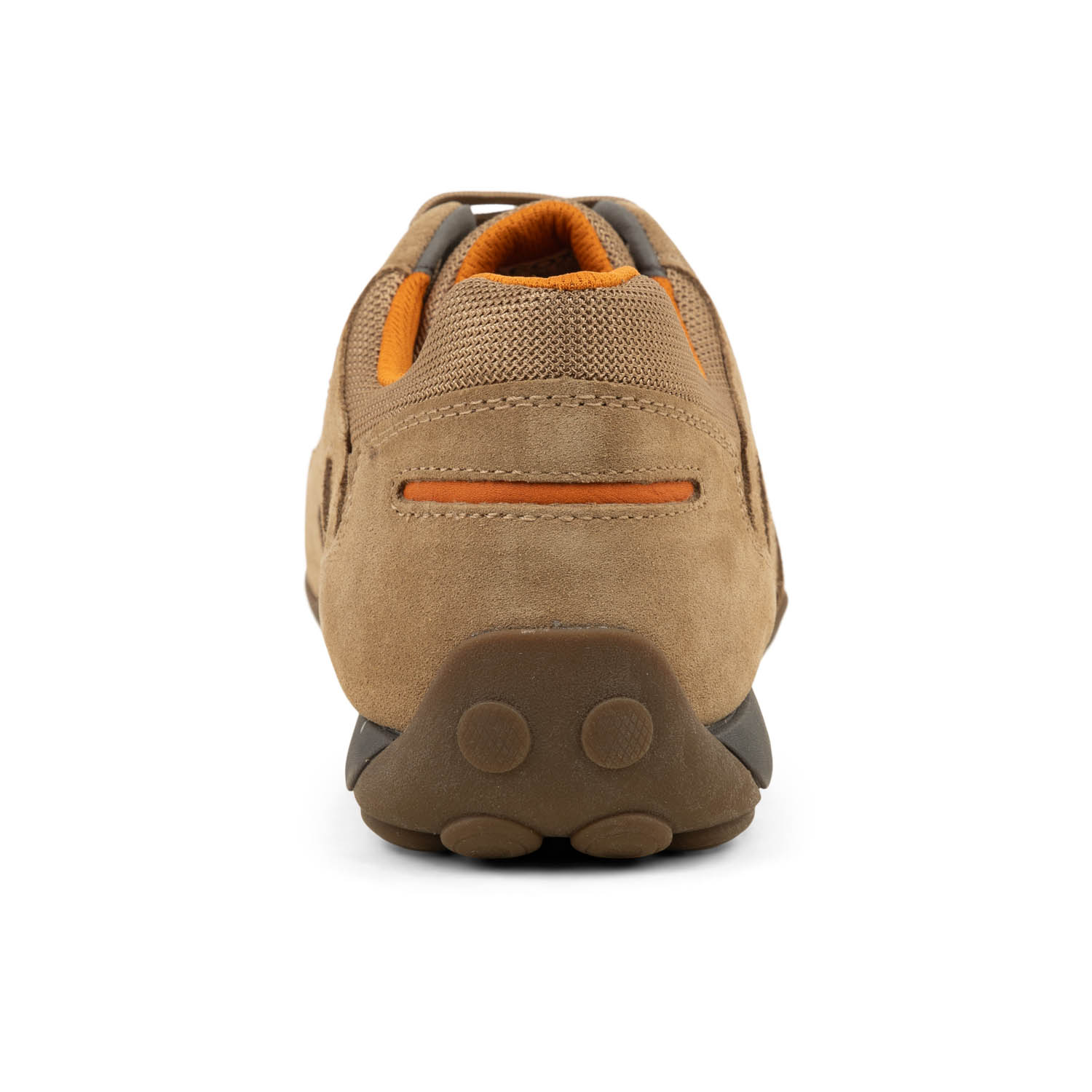 Baskets homme GEOX SNAKE 2.0