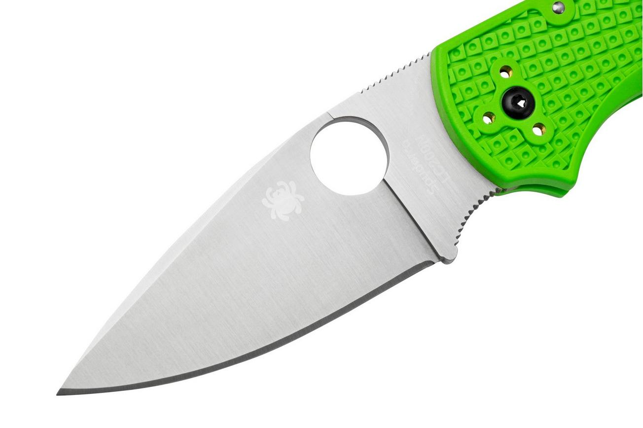 Spyderco Native 5 Salt, Green FRN, LC200N, C41PGR5 zakmes