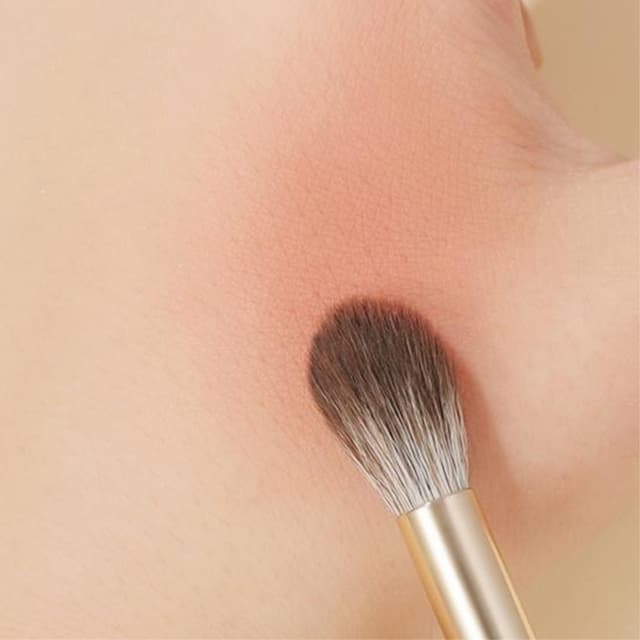 8 stk Øjenskygge børstesæt Bløde fiber øjenmakeup børster + taske