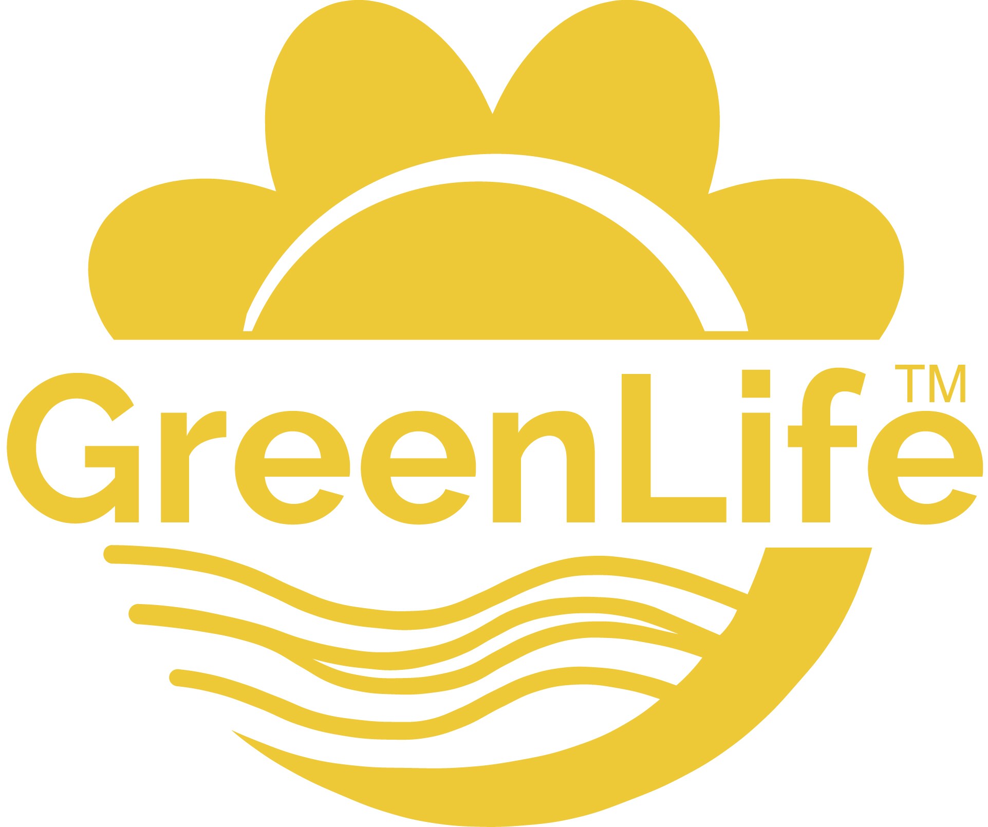 GreenLife Vorfilter Versickerung 