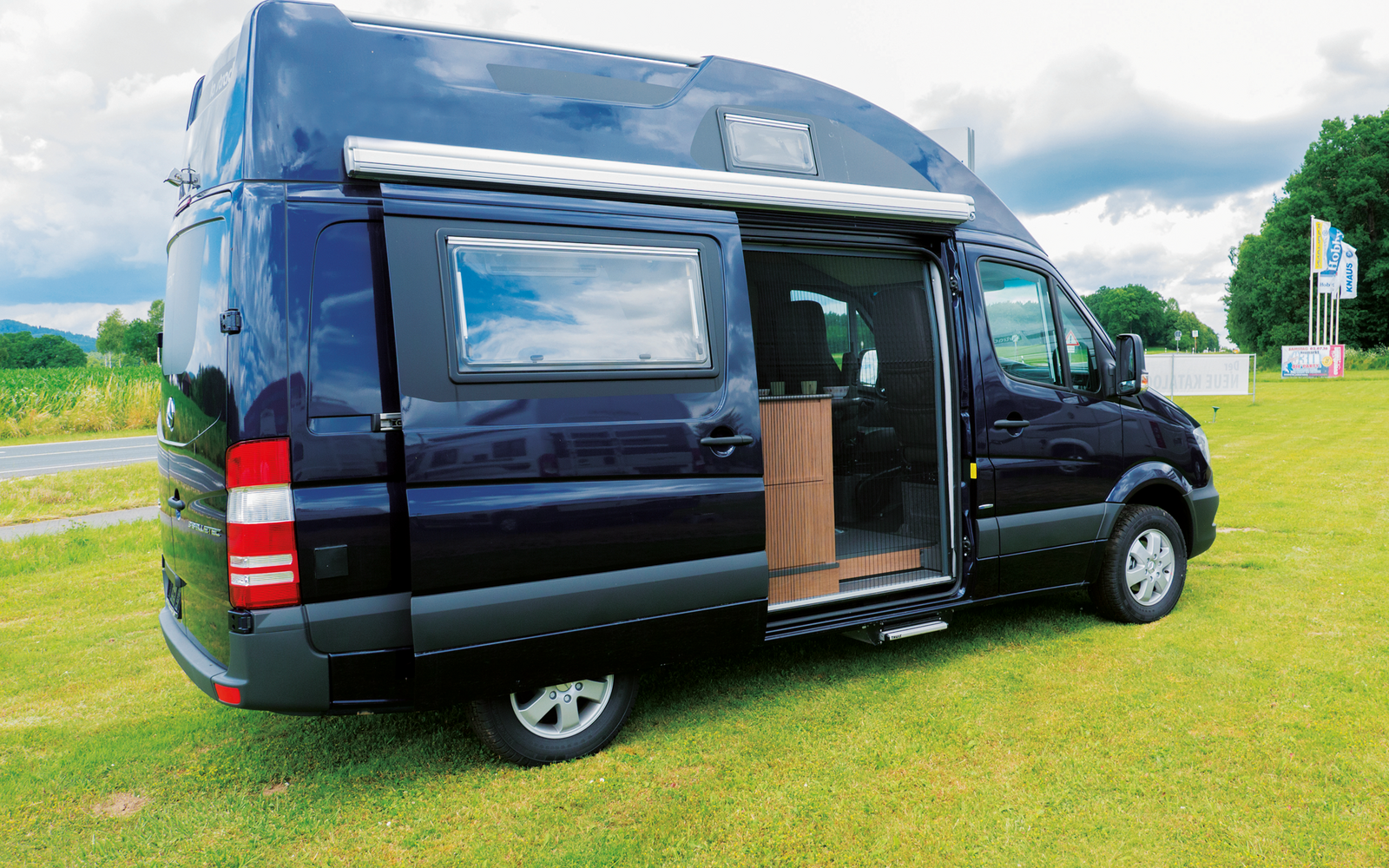 Remis REMIcare Tür-Insektenschutz Mercedes Sprinter / VW Crafter Bj. 2006-2016 Niedrige Tür