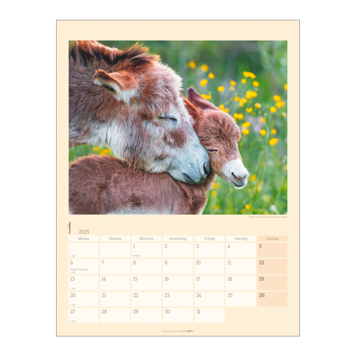 Kalender Esel 2025