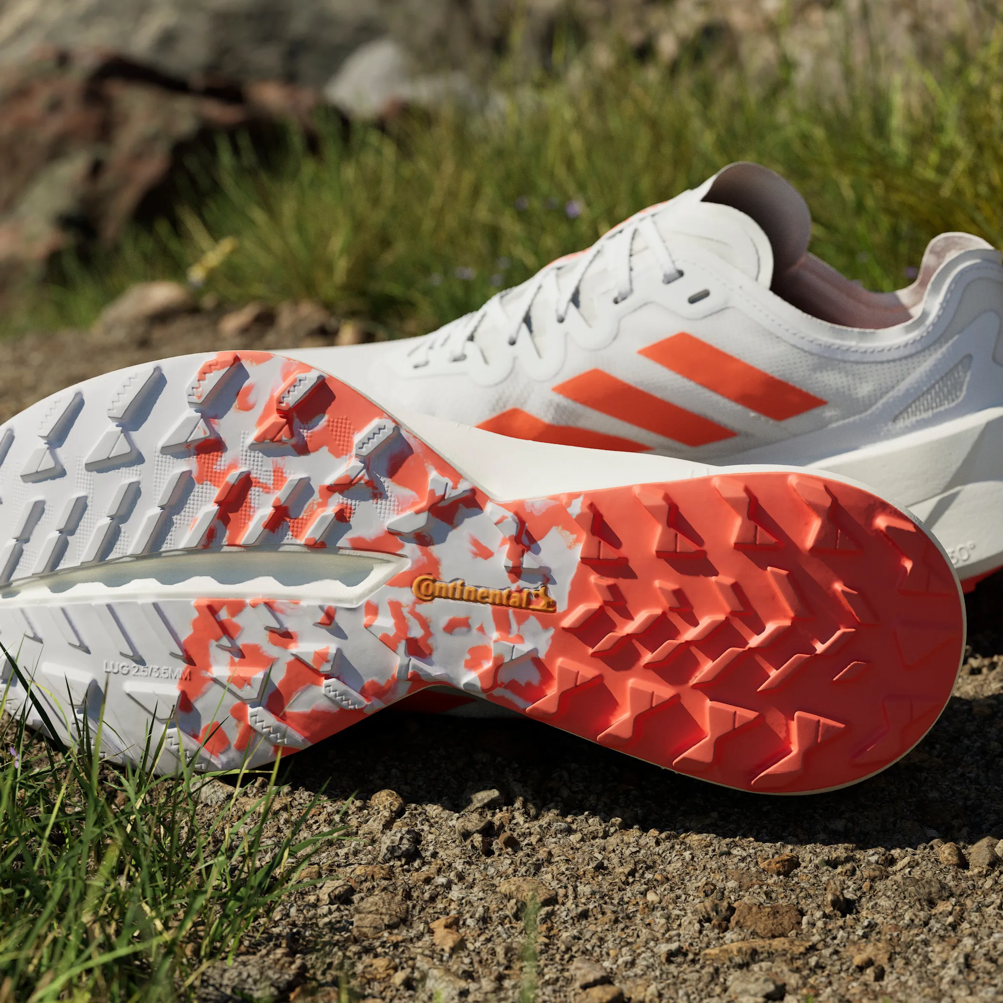 Adidas Men's Terrex Agravic Speed Ultra Ftwwht/impora/dshgry