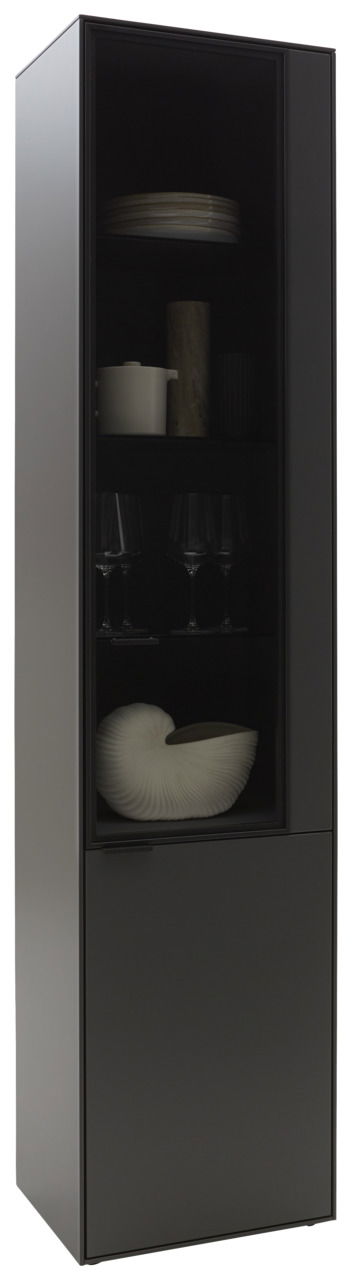 Dieter Knoll Vitrine RINA