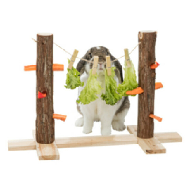 Etendage duo troncs d'arbre pour aliments pour rongeurs