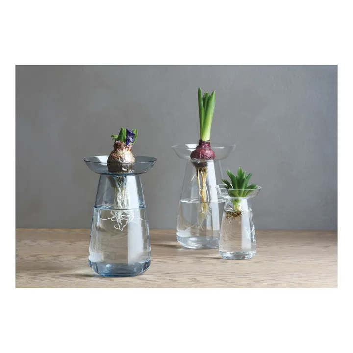 Kinto Vase en verre Aquaculture | Transparent