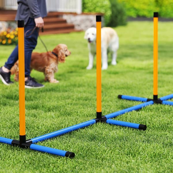 Dog Agility Sett 9 deler Agility utstyr for hundetrening Hekkesett med Slalåm Staver Hoop Hoop 2 Baller Høydejusterbar Hekk Koordinasjonstrening for s