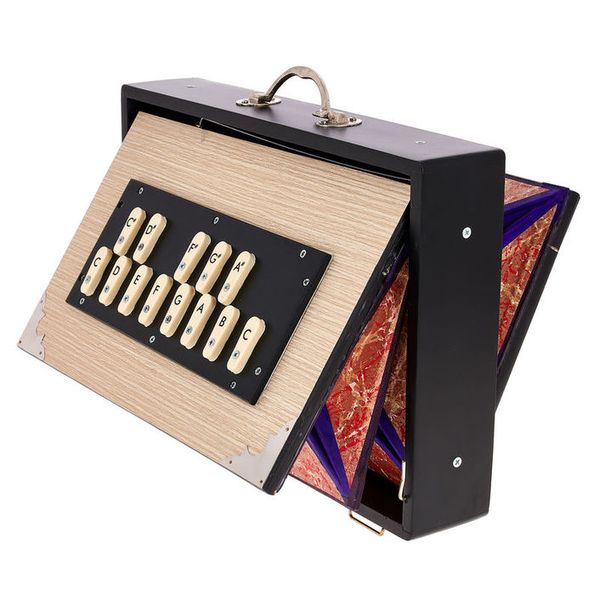 Thomann Nataraj Surpeti Shruti Box
