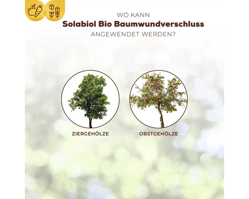 Solabiol Bio Tree Wound Sealant, geschikt voor biologische landbouw, 100% natuurlijke ingrediënten, 1 kg