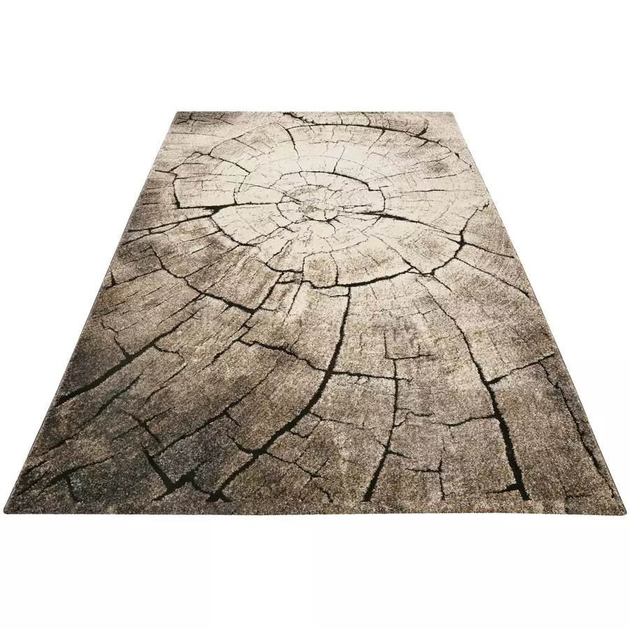 Wecon home Kurzflorteppich Wild Oak braun