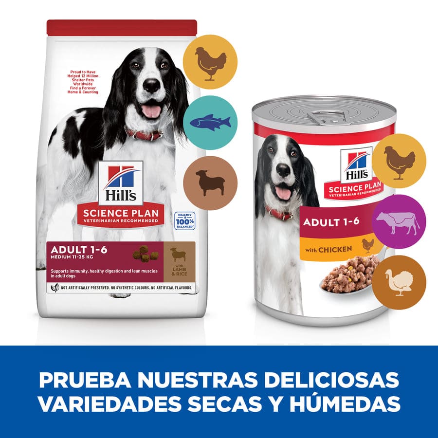 Ração para cães Hill's Science Plan Adult Medium com cordeiro e arroz