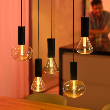 Philips Hue Lightguide Ellipse - wit en gekleurd licht 6W - E27