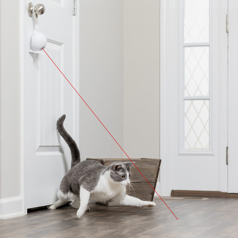 Frolicat Dancing Dot