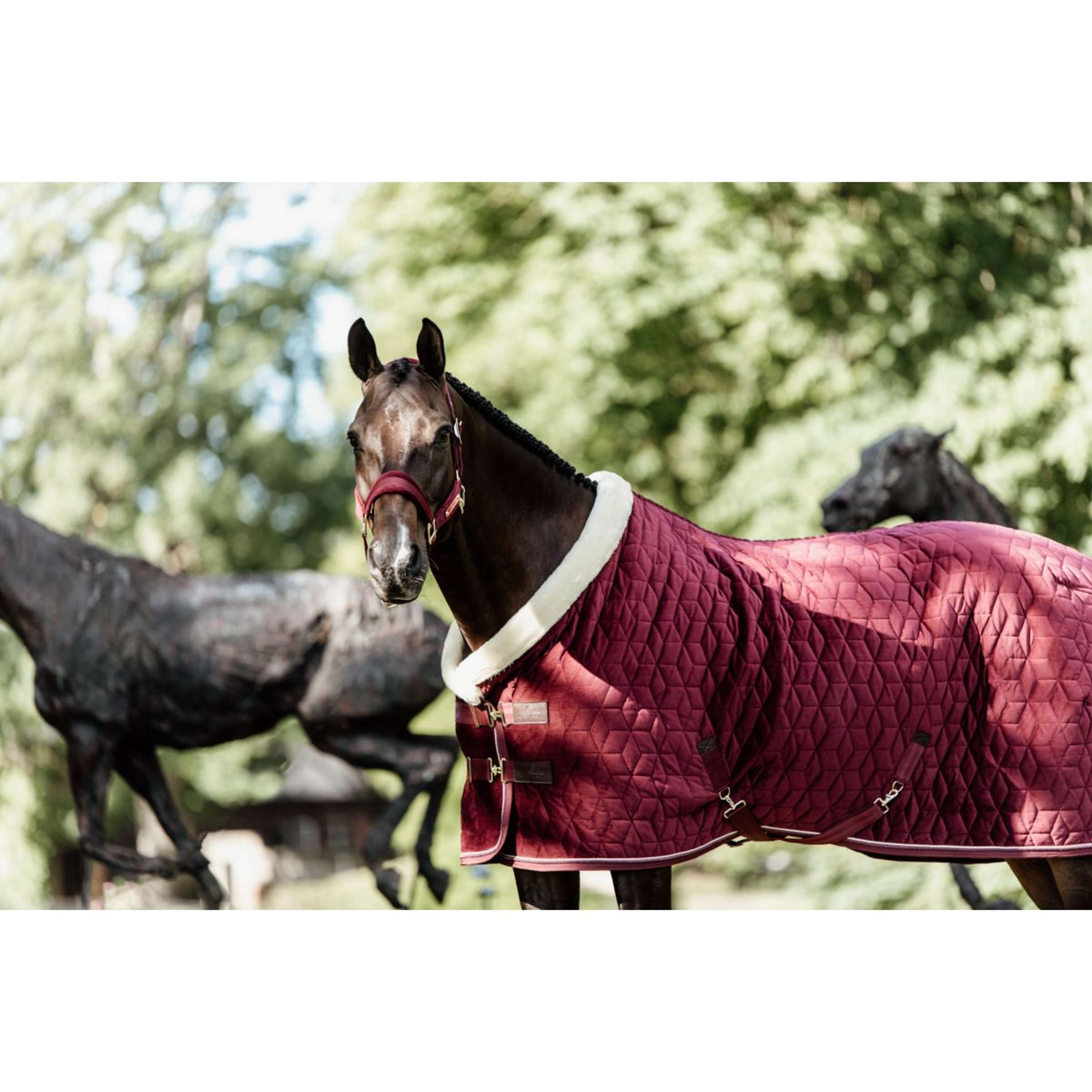 Kentucky Showdeken Velvet 160g Bordeaux
