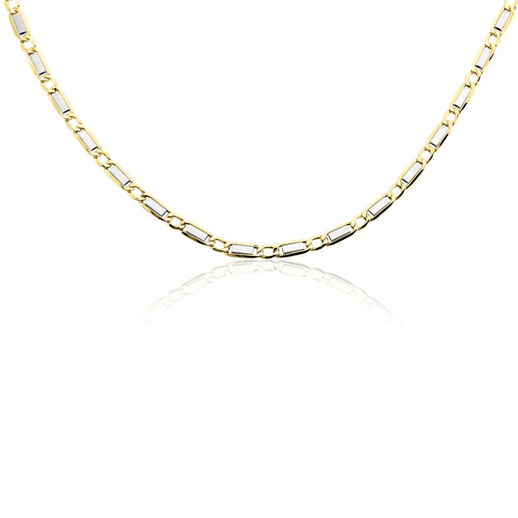 Collier Danae Maille Plaquette Alternée 1/1 Or Bicolore
