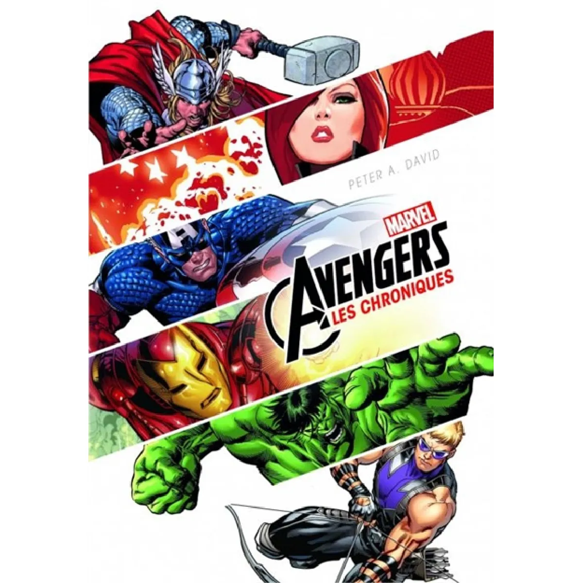 Marvel Avengers : les chroniques · Occasion