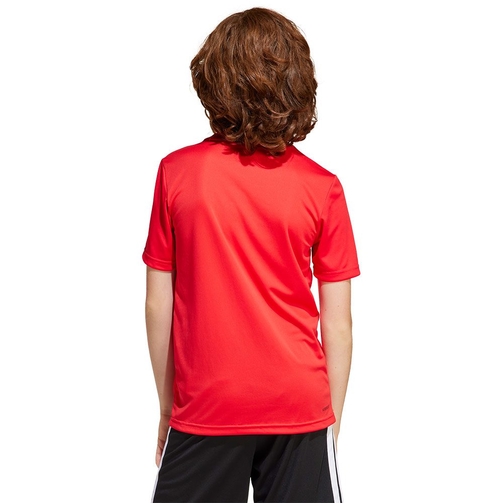 adidas Train Essentials Logo Regular Fit T-Shirt Kinder pure ruby