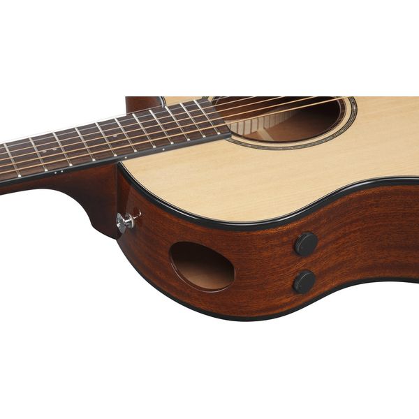 Ibanez AAM300CE-NT