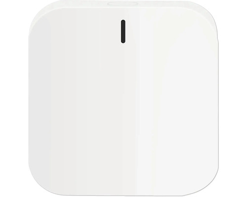 essentials Smart Home Centrale Duo Zigbee & Bluetooth