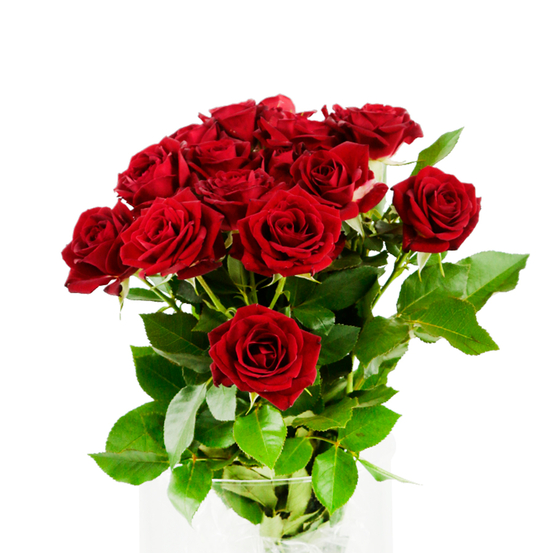 Botte de 5 roses rouges H50cm