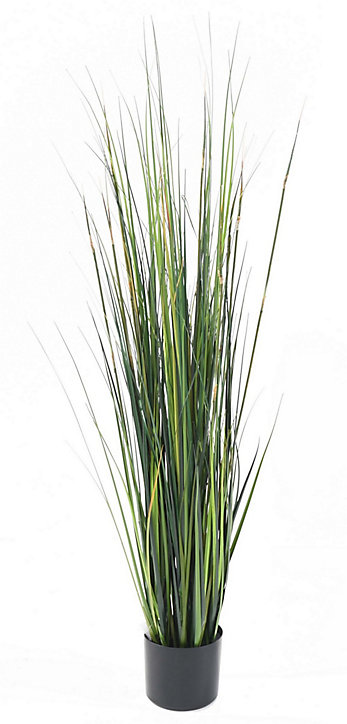 Onion grass Bambou artificiel h.120 cm