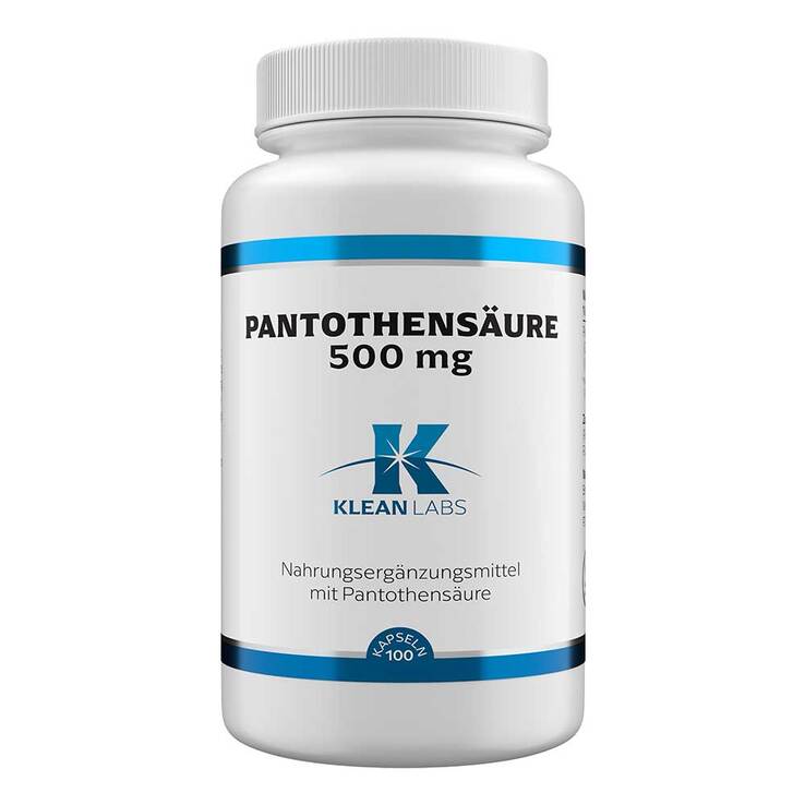 Pantothensäure B5 500 mg Kapseln, 100 St