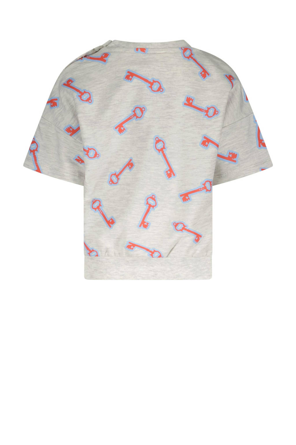 The New Chapter T-shirt Lux met all over print grijs/lichtblauw