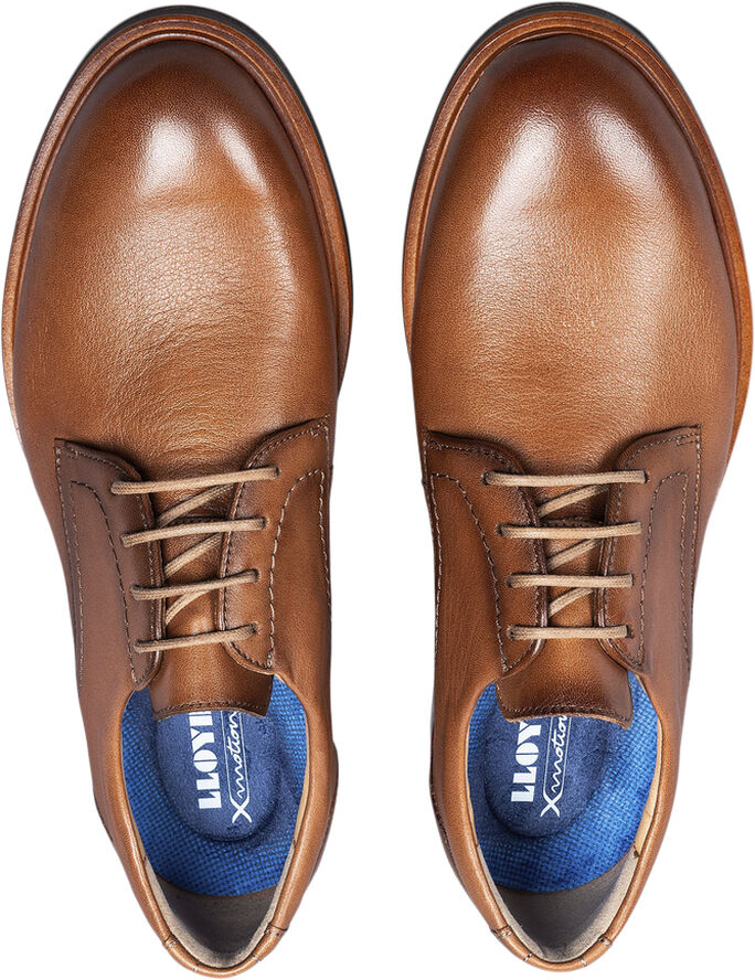 Lloyd 2431503 Brown