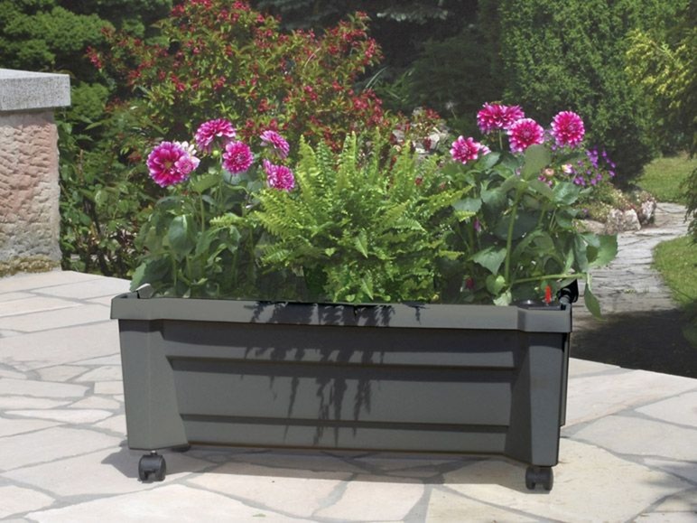 Plantenbak met wielen