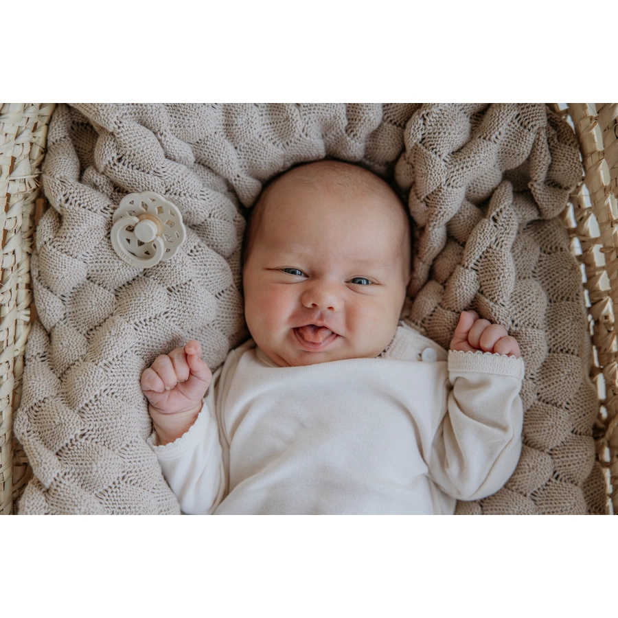 BIBS® Schnuller Boheme 6-18 Monate Fossil Grey & Mauve, 2 Stk.