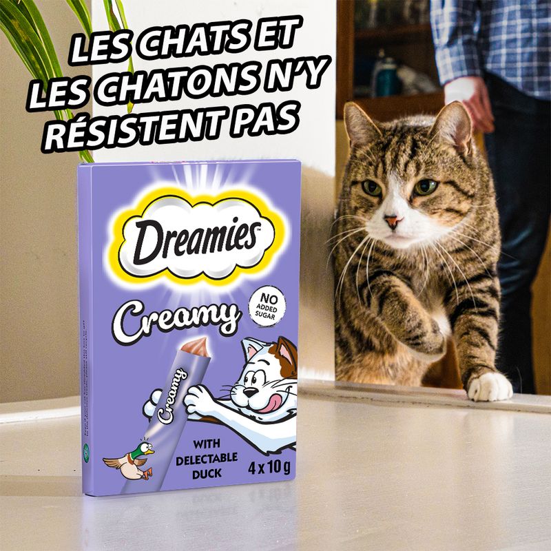 Dreamies Catisfactions Creamy Snacks