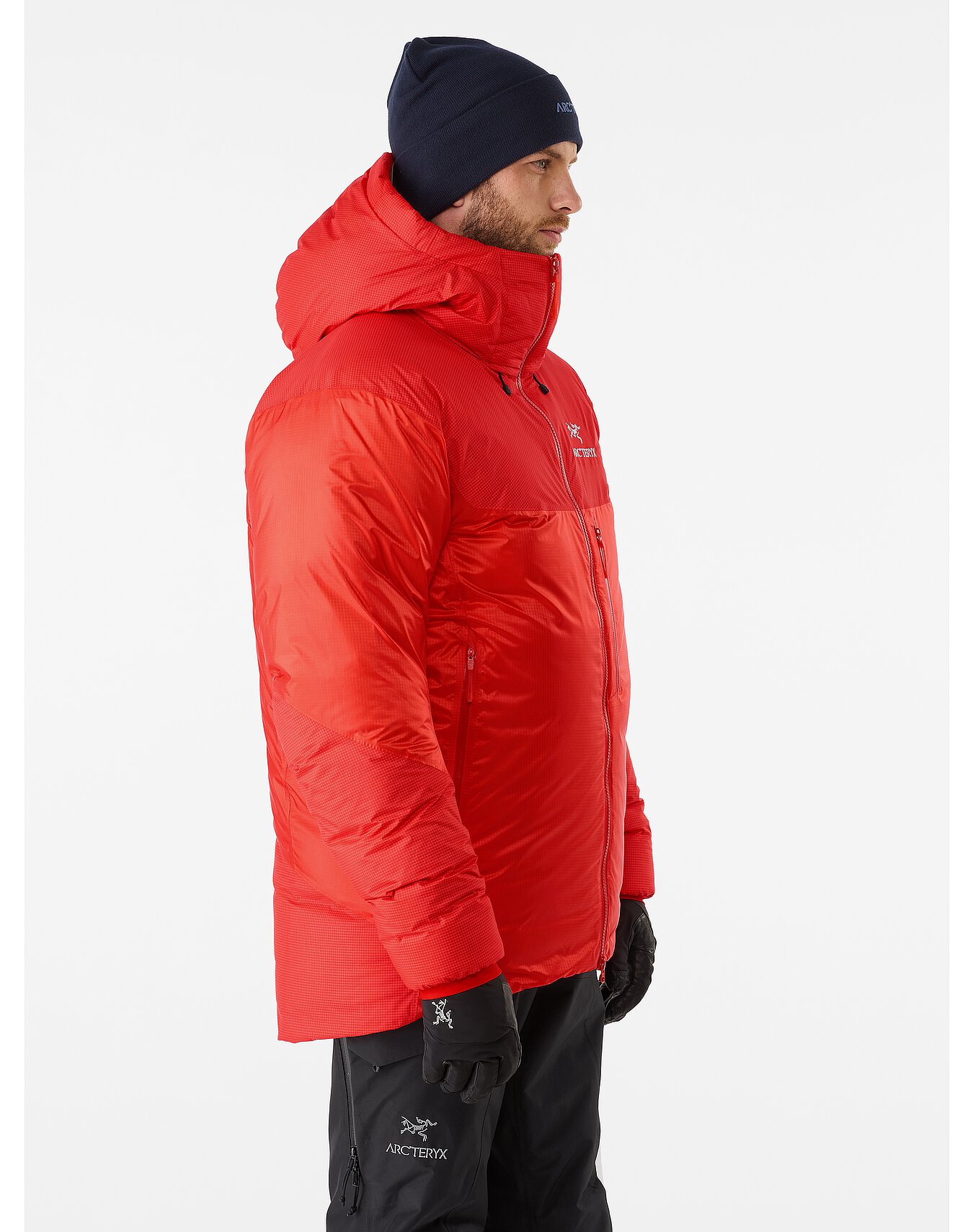 Arcteryx Alpha Parka Dynasty