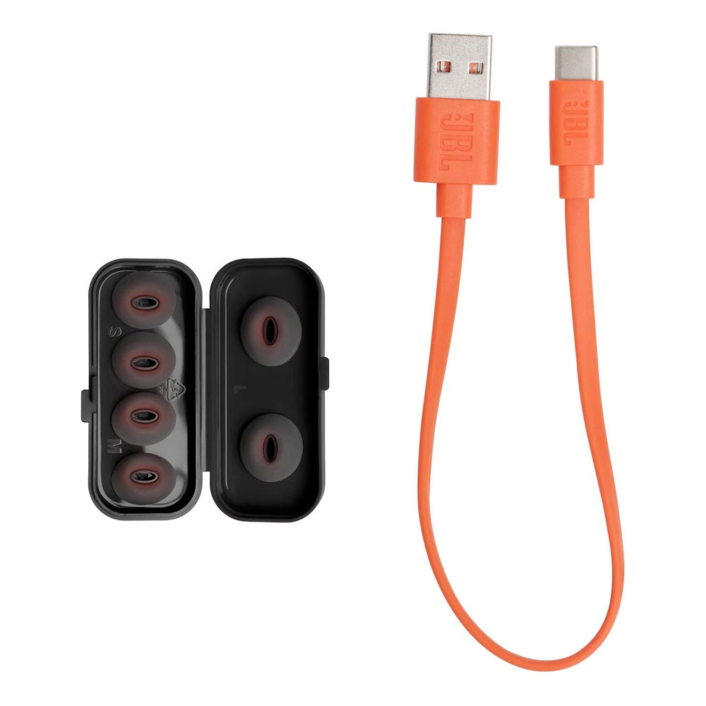 Tune Flex Ghost Edition TWS (ANC) Wireless Bluetooth Kopfhörer In-Ear Headset mit Active Noise Cancelling (JBLTFLEXGBLK) - Schwarz