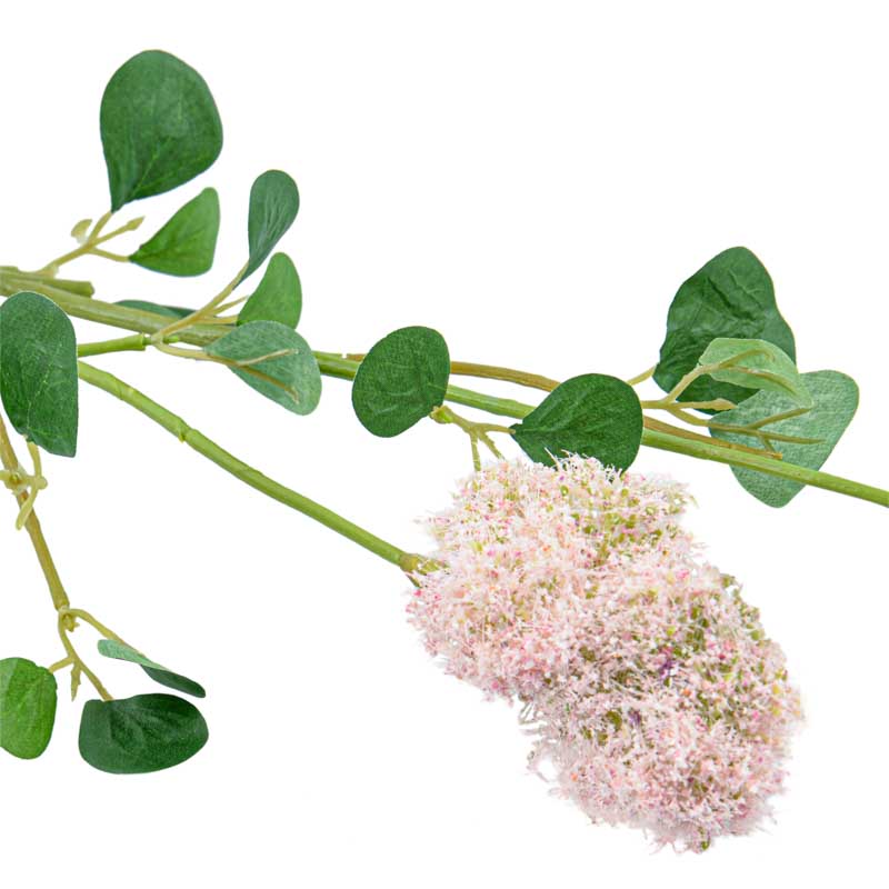 Tige de cotinus rose