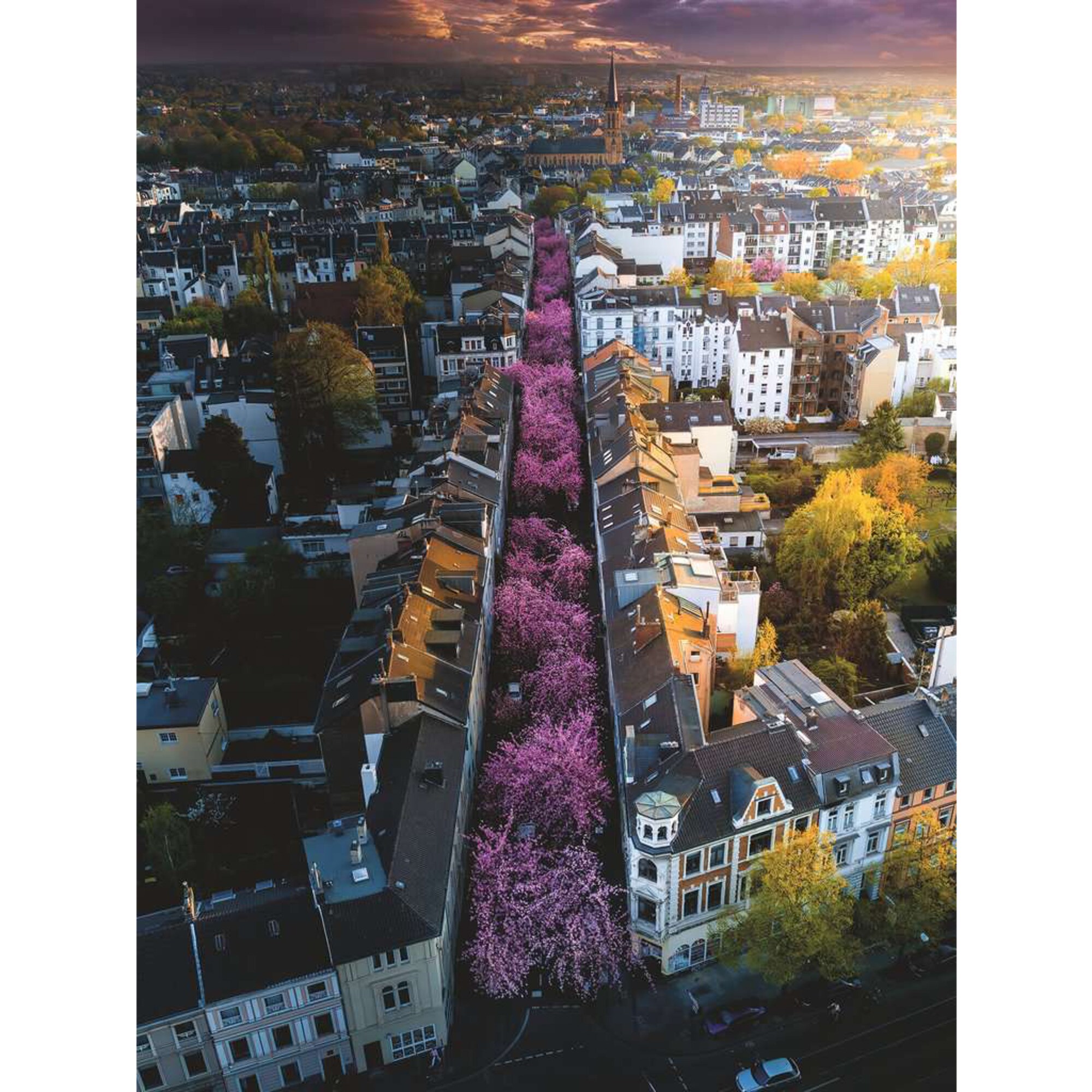 Ravensburger Puzzle Puzzle: Blühendes Bonn (1500 Teile)