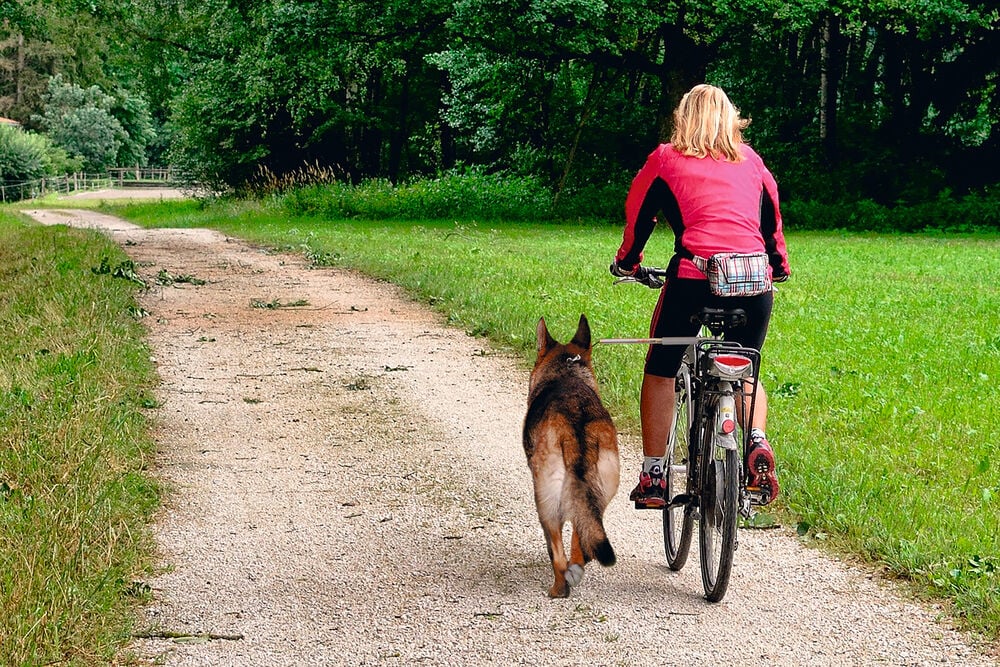 Karlie Walky Dog - Fietsbeugel Hond