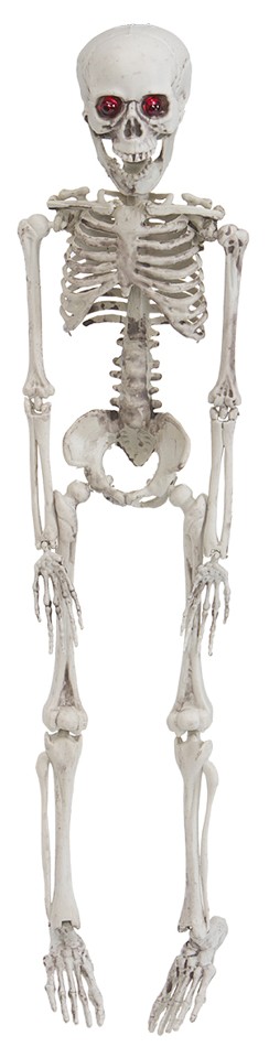 Halloween - Skeleton (50 cm)