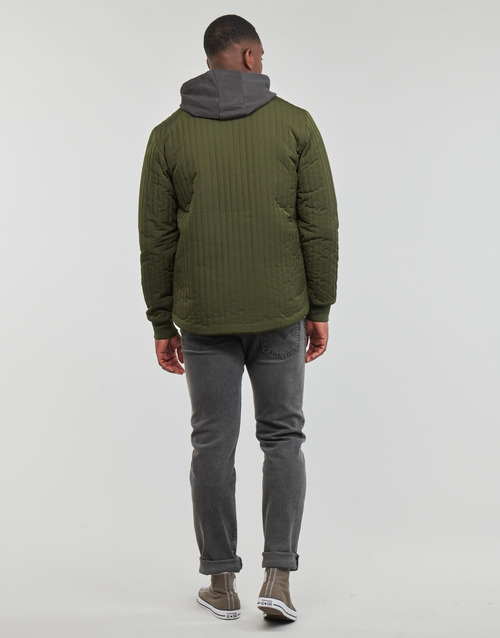 Lyle & Scott - JK1902V - Kaki