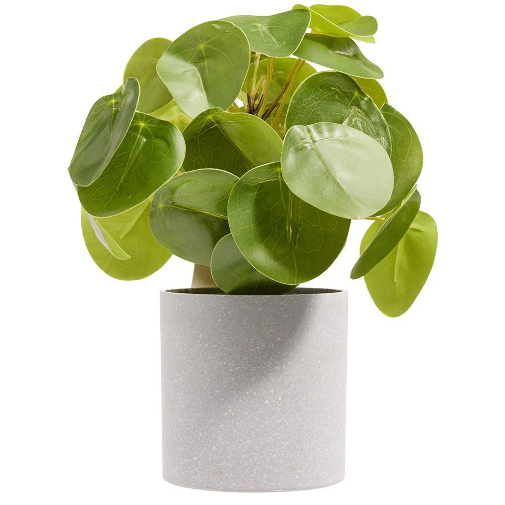 Plante articielle Ø8xH20cm