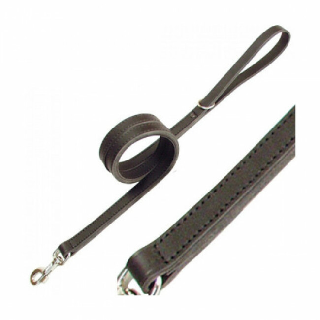 Laisse cuir ultra résistante pour chien