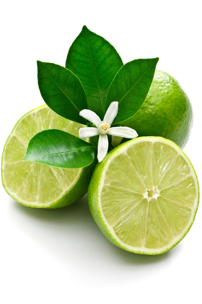 Huile de citron vert   Citrus aurantifolia