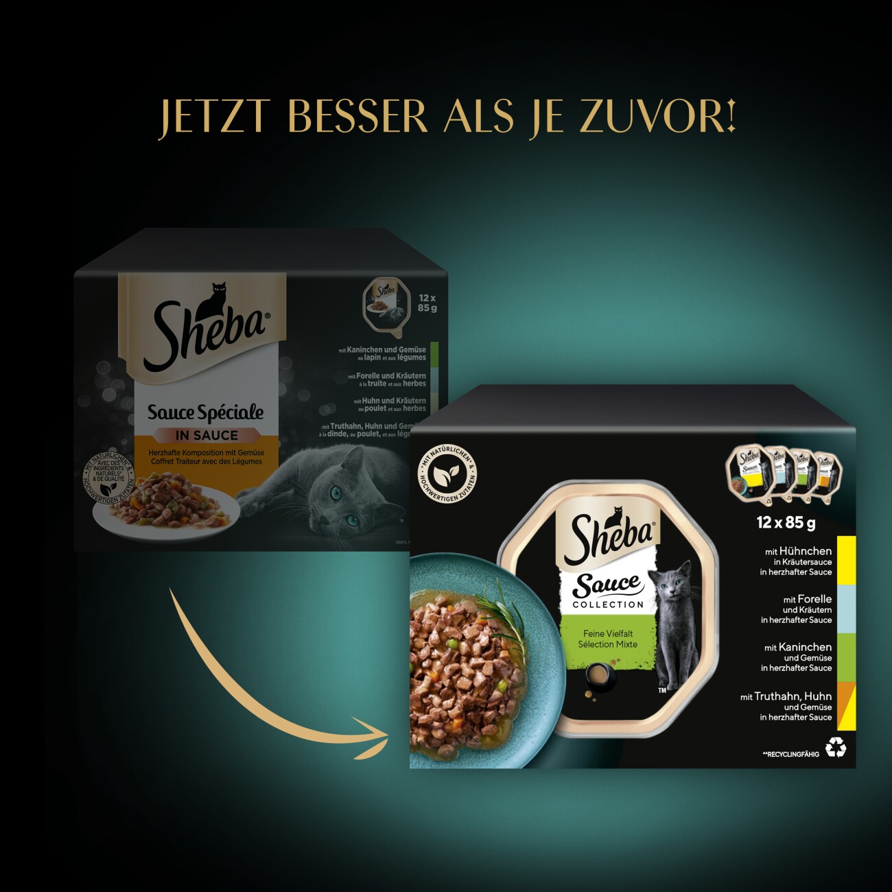 Sheba Multipack Sauce Collection Feine Vielfalt 12x85 g