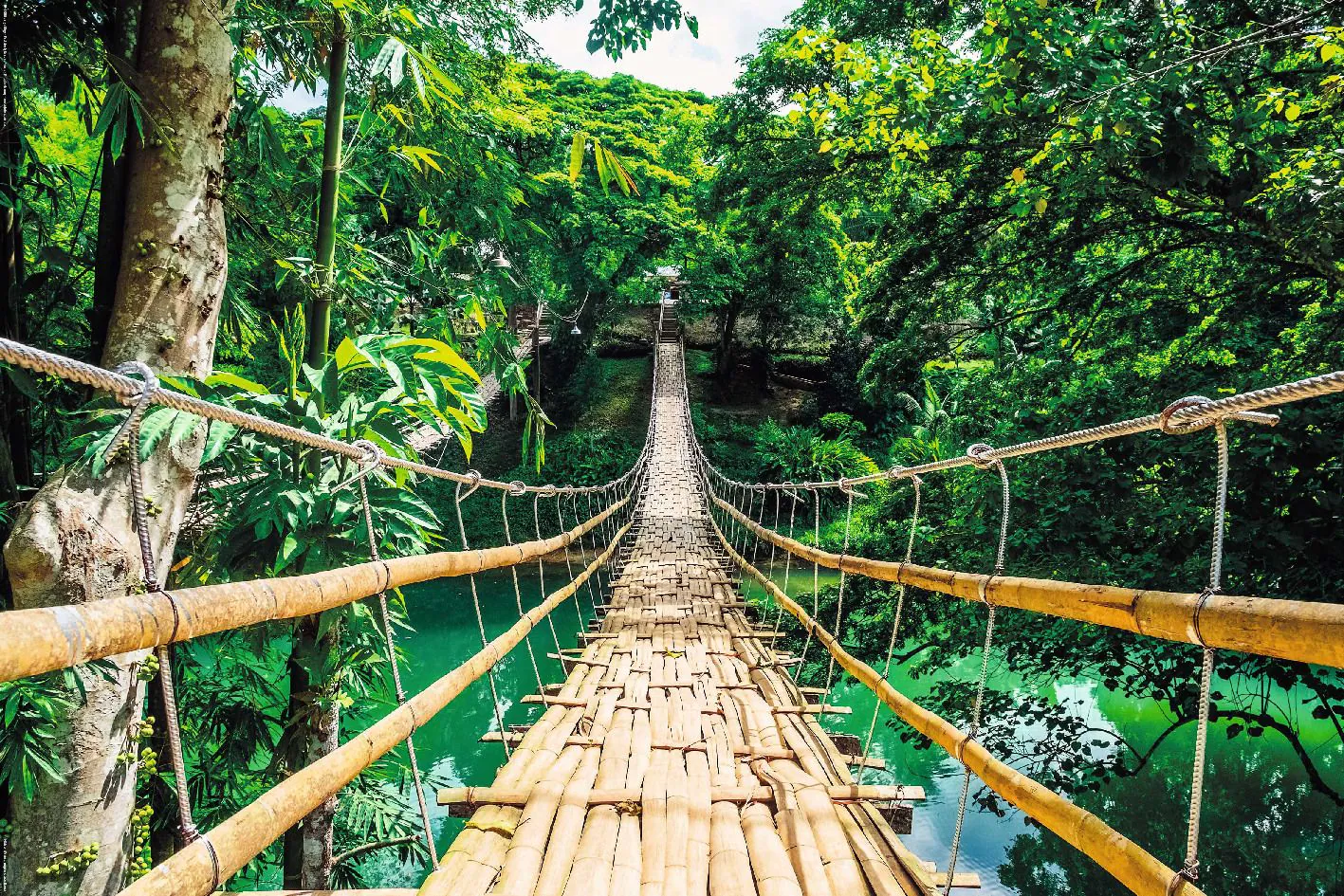 Poster Jungle Brücke, 61 x 91 cm