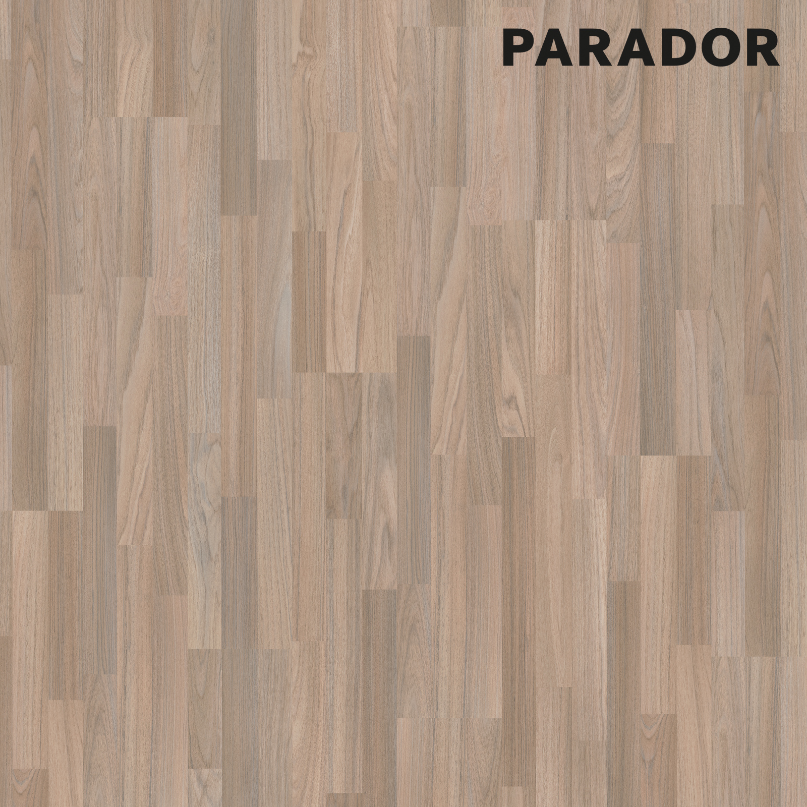 PARADOR Laminat BASIC 400 - Ocean-Teak - 8 mm