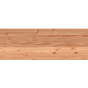 Tuinpaal vierkant Douglas hout geschaafd 12 x 12 x 300 cm