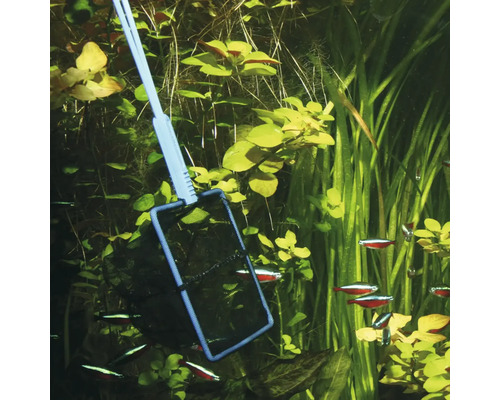 JBL Premium Zwart Fijn Aquariumnet, 30 x 15 cm