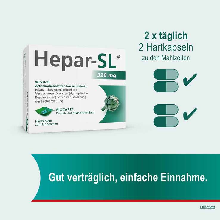 Hepar-SL® 320 mg Hartkapseln, 100 St